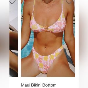 Grey Bandit Bikini Bottom